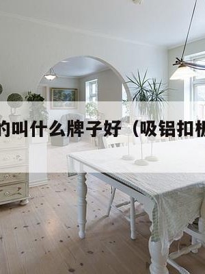 吸铝扣板的叫什么牌子好（吸铝扣板的叫什么牌子好）