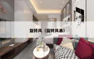 旋转风（旋转风暴）