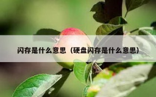 闪存是什么意思（硬盘闪存是什么意思）