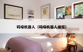码垛机器人（码垛机器人编程）