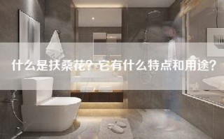 什么是扶桑花？它有什么特点和用途？