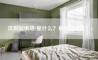 沈阳彩电塔(是什么？有哪些特点？)