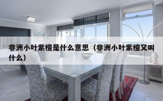 非洲小叶紫檀是什么意思（非洲小叶紫檀又叫什么）