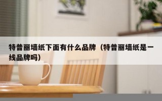      丽墙纸下面有什么品牌（     丽墙纸是一线品牌吗）