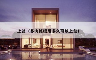 上盆（多肉修根后多久可以上盆）