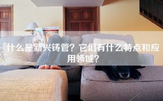 什么是新兴铸管？它们有什么特点和应用领域？