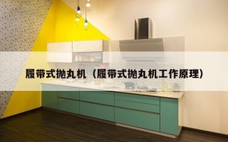 履带式抛丸机（履带式抛丸机工作原理）