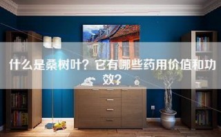 什么是桑树叶？它有哪些药用价值和功效？