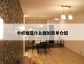 中纤板是什么板的简单介绍