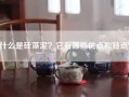 什么是硅藻泥？它有哪些优点和特点？