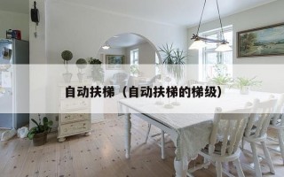 自动扶梯（自动扶梯的梯级）