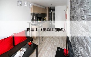 膨润土（膨润土猫砂）
