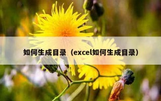 如何生成目录（excel如何生成目录）