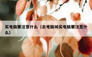 买电脑要注意什么（去电脑城买电脑要注意什么）