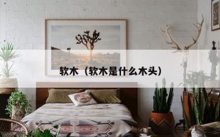 软木（软木是什么木头）