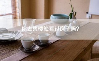 你去售楼处看过房子吗？