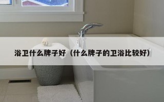 浴卫什么牌子好（什么牌子的卫浴比较好）