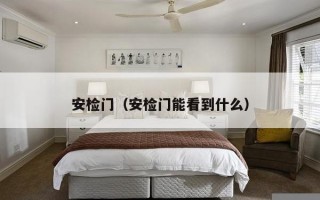 安检门（安检门能看到什么）