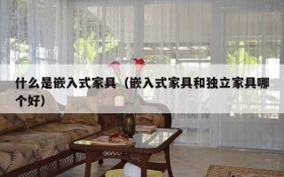 什么是嵌入式家具（嵌入式家具和独立家具哪个好）
