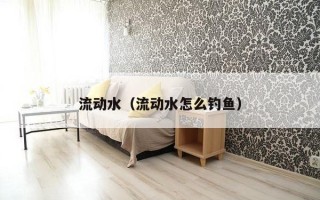 流动水（流动水怎么钓鱼）