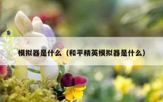 模拟器是什么（和平精英模拟器是什么）