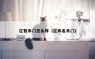 亿智木门怎么样（亿木名木门）