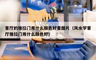 客厅的推拉门用什么颜色好看图片（风水学客厅推拉门用什么颜色好）