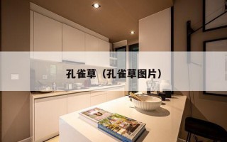 孔雀草（孔雀草图片）