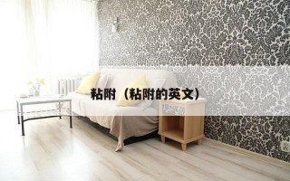 粘附（粘附的英文）