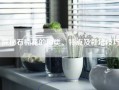探秘石楠花的种类、特点及栽培技巧