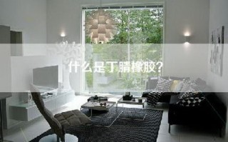 什么是丁腈橡胶？