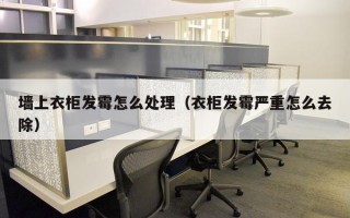 墙上衣柜发霉怎么处理（衣柜发霉严重怎么去除）