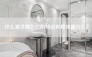 什么是洋槐？它的特点和用途是什么？