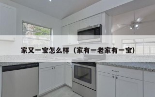 家又一宝怎么样（家有一老家有一宝）