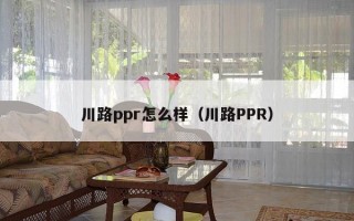 川路ppr怎么样（川路PPR）