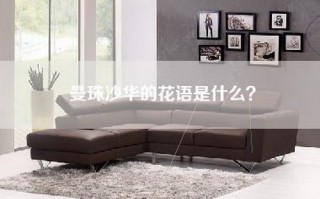 曼珠沙华的花语是什么？