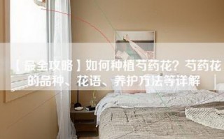 【最全攻略】如何种植芍药花？芍药花的品种、花语、养护     等详解