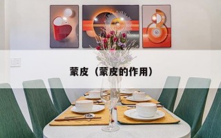 蒙皮（蒙皮的作用）