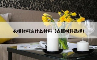 衣柜材料选什么材料（衣柜材料选择）