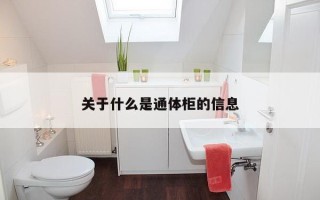 关于什么是通体柜的信息