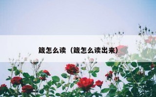 箴怎么读（箴怎么读出来）