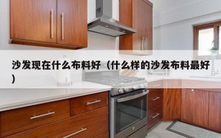 沙发现在什么布料好（什么样的沙发布料更好）