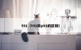 t91（t91和p91的区别）