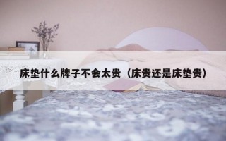 床垫什么牌子不会太贵（床贵还是床垫贵）