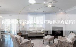 你知道凤尾花的种植技巧和养护方法吗？