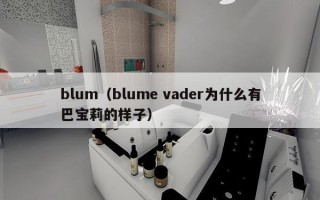 blum（blume vader为什么有巴宝莉的样子）