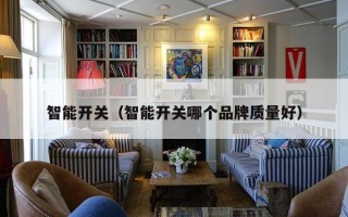 智能开关（智能开关哪个品牌质量好）