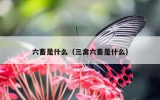 六畜是什么（三禽六畜是什么）