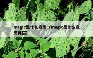 magic是什么意思（magic是什么意思英语）