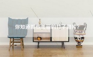 你知道哪些美丽的竹子图片？